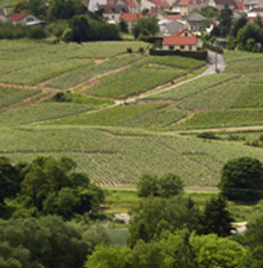 Vallée de la Marne